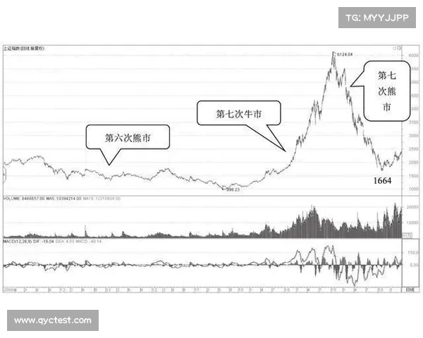百年未有之变局：中国股市的未来走势与投资策略分析
